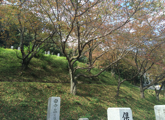 広島市営 正池平墓地
